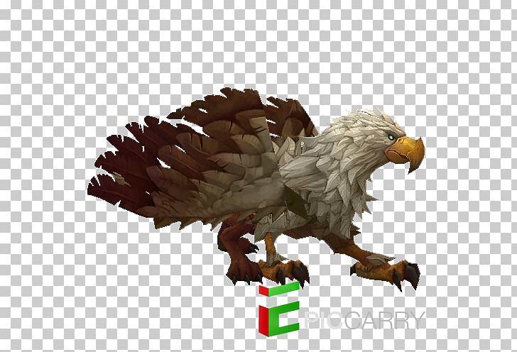 Eagle Hearthstone Animal World Of Warcraft Griffin PNG, Clipart, Animal, Animals, Beak, Bird, Bird Of Prey Free PNG Download