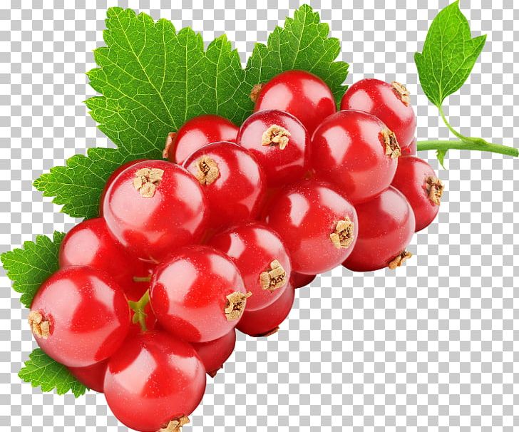 Fruit Tutti Frutti Red Mulberry Currant PNG, Clipart, Auglis, Berry, Cherry, Cranberry, Dental Plaque Free PNG Download