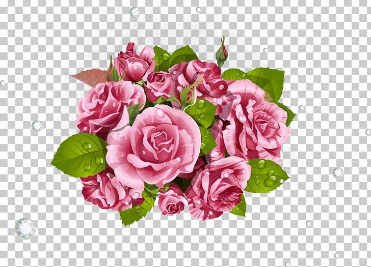 Garden Roses Cabbage Rose PNG, Clipart,  Free PNG Download