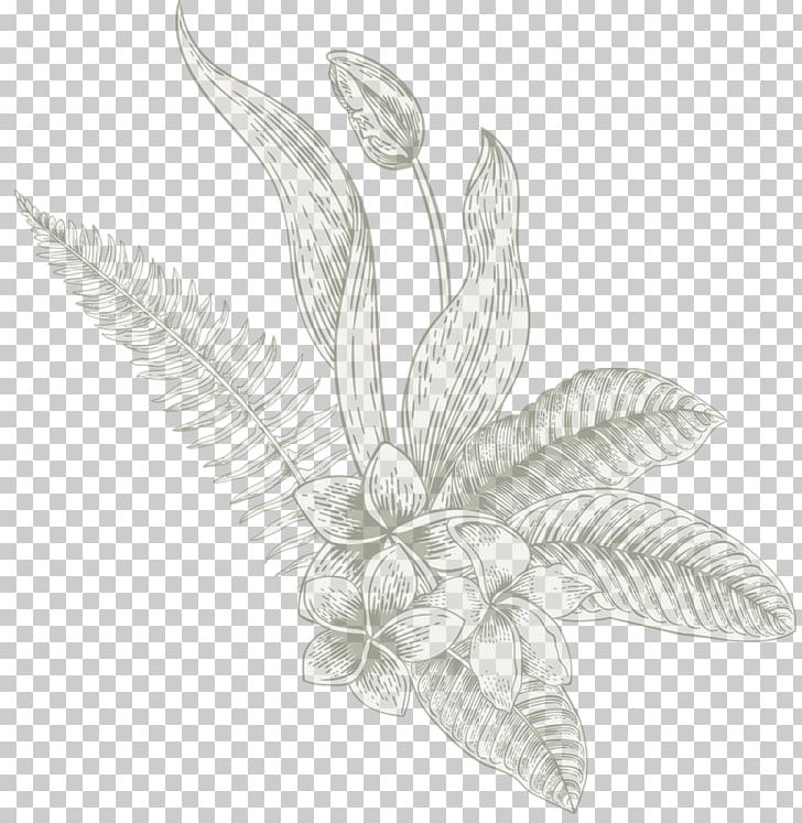 Petal Plant Sunflowers /m/02csf PNG, Clipart, Adenoidectomy, Atmosphere Was Strewn With Flowers, Black And White, Butterfly, Color Free PNG Download