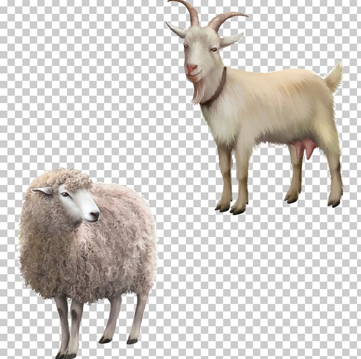 Rove Goat Stock Photography PNG, Clipart, Animal Illustration, Animals, Cartoon Animals, Cartoon Character, Cartoon Cloud Free PNG Download
