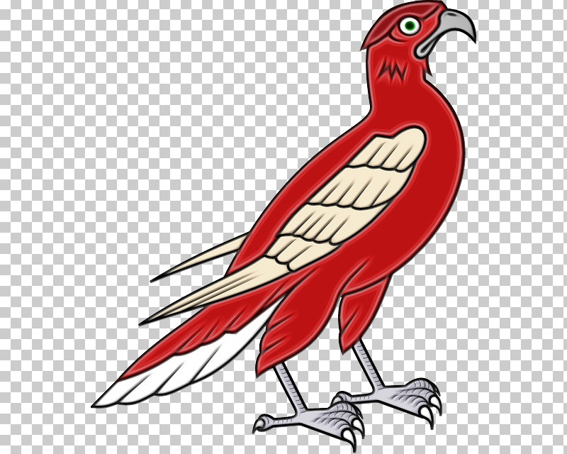 Bird Beak Wing Falconiformes PNG, Clipart, Beak, Bird, Falconiformes, Paint, Watercolor Free PNG Download