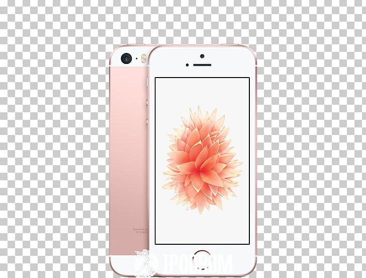Apple Telephone Rose Gold IPhone 6S PNG, Clipart, Apple , Apple Iphone, Codedivision Multiple Access, Electronic Device, Flower Free PNG Download