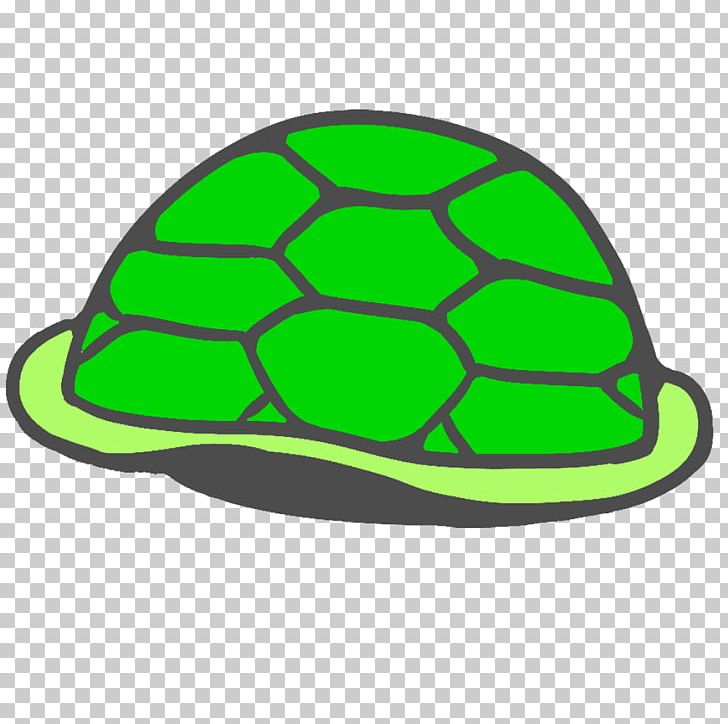 Sea Turtle Tortoise Carapace PNG, Clipart, Animals, Brott, Cap, Carapace, Green Free PNG Download
