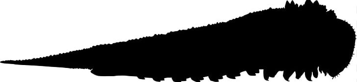 Silhouette Dog PNG, Clipart, Beak, Black, Black And White, Carnivoran, Dog Free PNG Download
