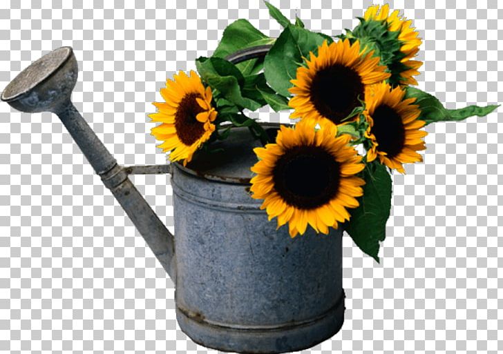 Common Sunflower Sticker Paper Shower PNG, Clipart, Adhesive, Bathroom, Common Sunflower, Curtain, Daisy Family Free PNG Download