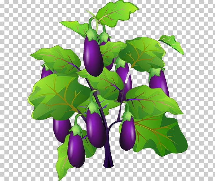 Eggplant Jam Fruit Vegetable PNG, Clipart, Branch, Cartoon Eggplant, Download, Eggplant Cartoon, Eggplant Jam Free PNG Download