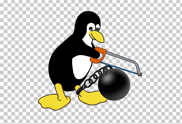 Penguin JPEG Portable Network Graphics PNG, Clipart, Beak, Bird, Flightless Bird, Gimp, Krita Free PNG Download