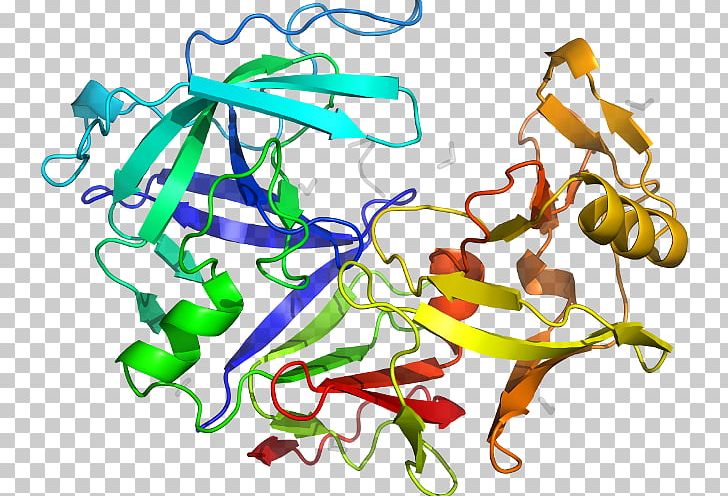 Pepsin PGA5 Protein Gene Wikipedia PNG, Clipart, Animal Figure, Area, Art, Artwork, Aspartic Protease Free PNG Download