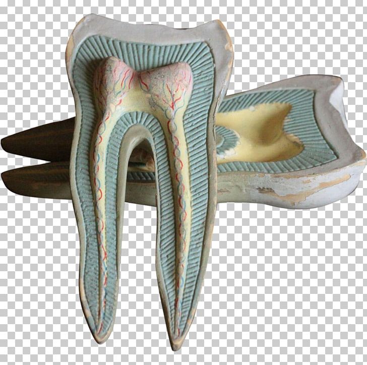 Dentistry Human Tooth Jaw PNG, Clipart, Anatomy, Bone Resorption, Dental College, Dental Floss, Dental Implant Free PNG Download