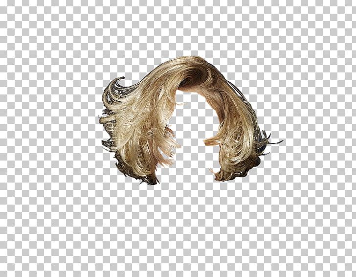Hobby Wig Hunting Celebrity Hair PNG, Clipart, Blond, Brown Hair, Celebrity, Doll, Hair Free PNG Download
