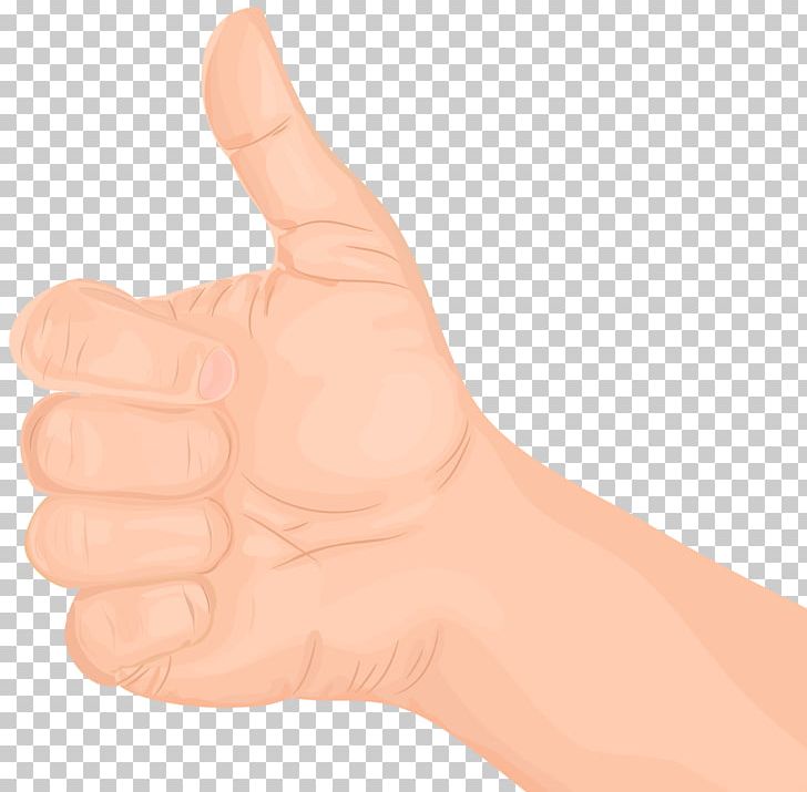 Thumb Hand Model Nail PNG, Clipart, Arm, Clip Art, Clipart, Finger, Gesture Free PNG Download