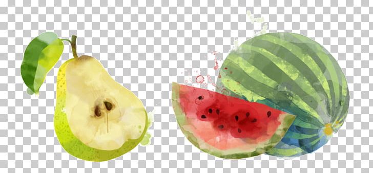 Watercolor Painting Fruit PNG, Clipart, Accessory Fruit, Food, Fruit, Melon, Natural Foods Free PNG Download
