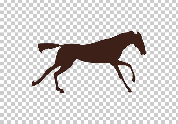 Horse Gait Canter And Gallop Foal PNG, Clipart, Animals, Animation, Black  And White, Bridle, Carnivoran Free
