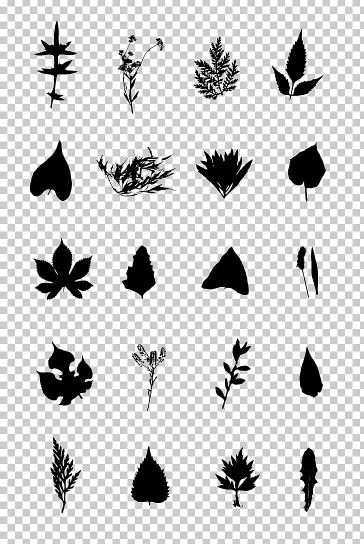 Insect Butterfly Silhouette White PNG, Clipart, Agency, Animals, Black And White, Branch, Butterflies And Moths Free PNG Download