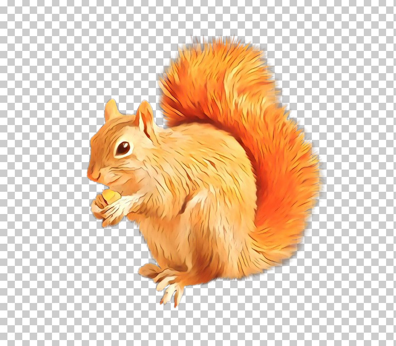 Squirrel Eurasian Red Squirrel Fox Squirrel Tail Animal Figure PNG, Clipart, Animal Figure, Eurasian Red Squirrel, Fox Squirrel, Squirrel, Tail Free PNG Download