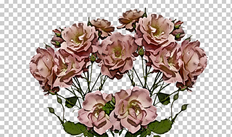 Floral Design PNG, Clipart, Cabbage Rose, Cleanser, Cut Flowers, Dogrose, Extract Free PNG Download