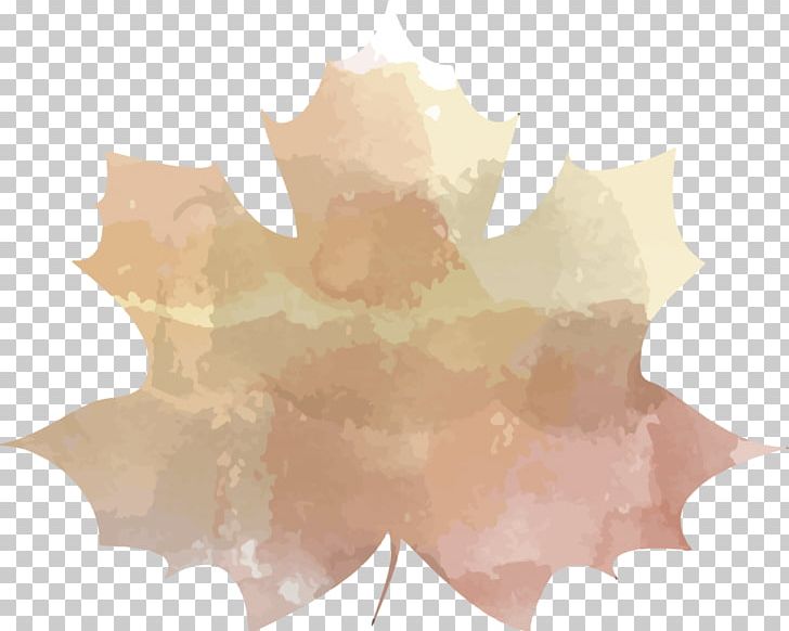 Maple Leaf PNG, Clipart, Leaf, Maple, Maple Leaf, Others, Smiles Production Free PNG Download