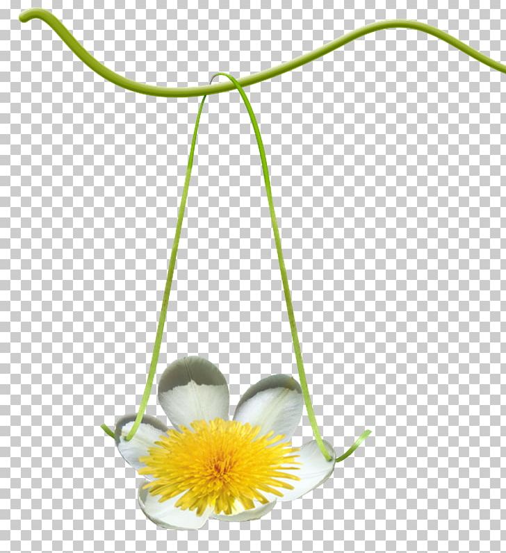 Park Swing Petal Email PNG, Clipart, 2014, 2017, Blog, Cut Flowers, Email Free PNG Download