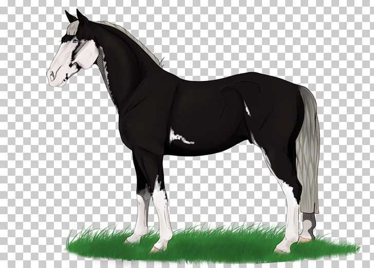 Mane Mustang Stallion Mare Foal PNG, Clipart, Bridle, Colt, Foal, Grass, Halter Free PNG Download