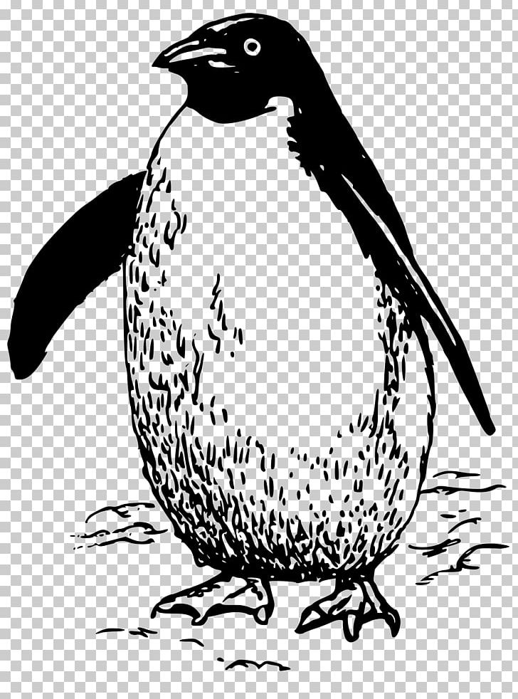 Penguin Bird PNG, Clipart, Animal, Animals, Art, Artwork, Beak Free PNG Download