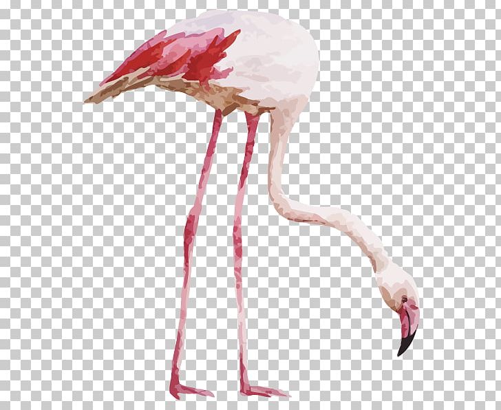 Flamingo Drawing Watercolor Painting PNG, Clipart, Animals, Art, Beak, Bird, Ciconiiformes Free PNG Download
