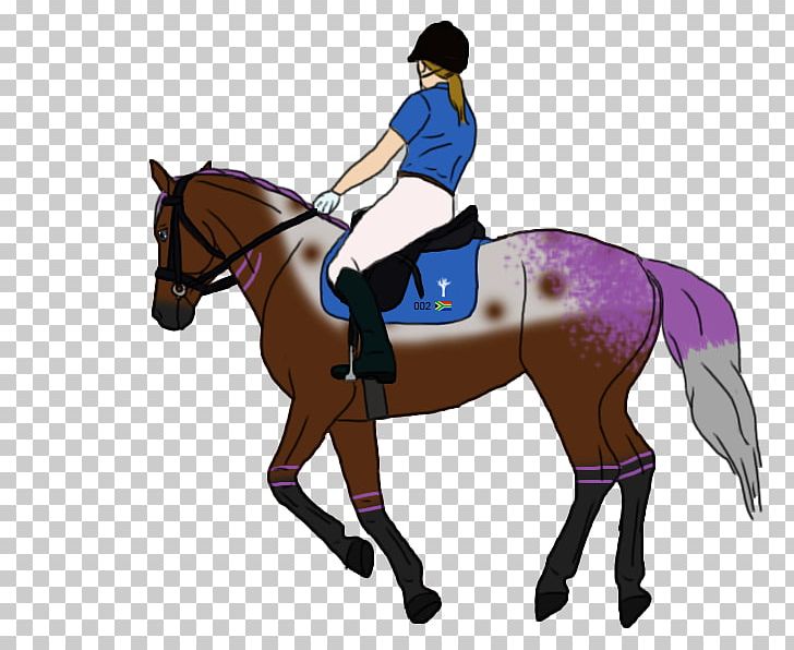 Hunt Seat Mane Horse Bridle Stallion PNG, Clipart, Animals, Animal Training, Bit, Bridle, Dressage Free PNG Download