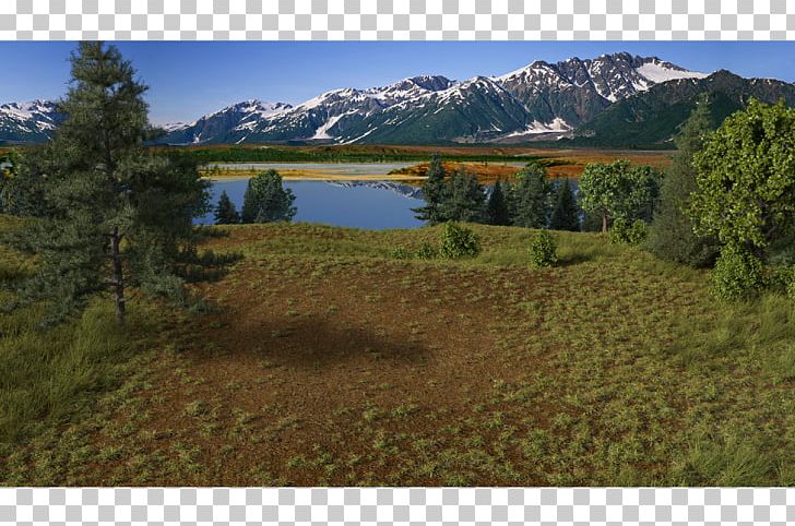 Rendering Wilderness Nature Reserve 3D Computer Graphics PNG, Clipart, 3d Computer Graphics, Biome, Ecosystem, Fell, Grass Free PNG Download