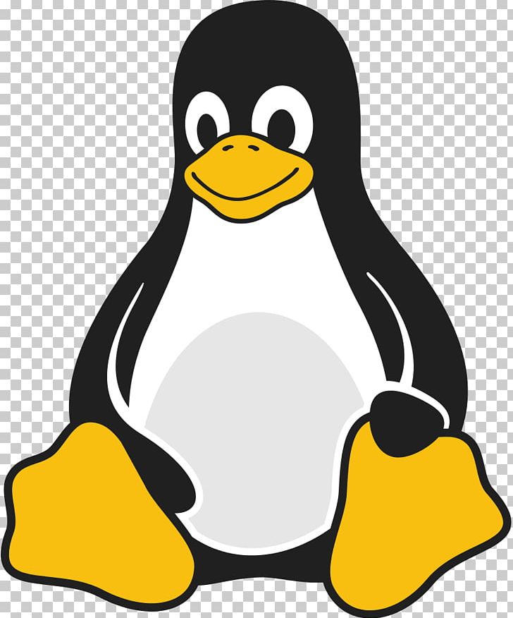 Tux Racer Linux Command-line Interface Shell PNG, Clipart, Artwork, Beak, Bird, Command, Commandline Interface Free PNG Download