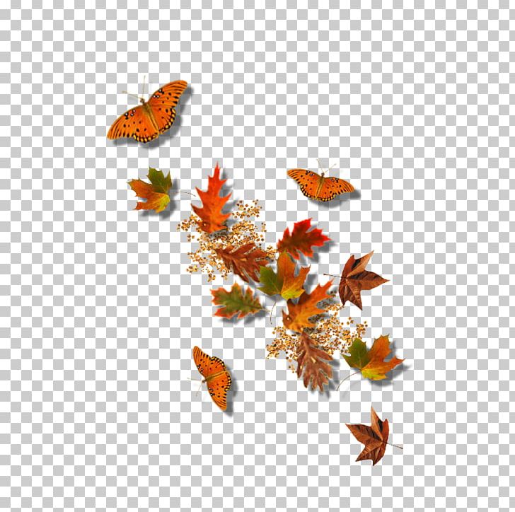 Autumn Leaf PNG, Clipart, Arthropod, Autumn, Branch, Brush Footed Butterfly, Butterfly Free PNG Download