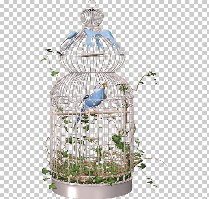 Birdcage Birdcage Amazon Parrot Map PNG, Clipart, Amazon Parrot, Animals, Beak, Bird, Birdcage Free PNG Download