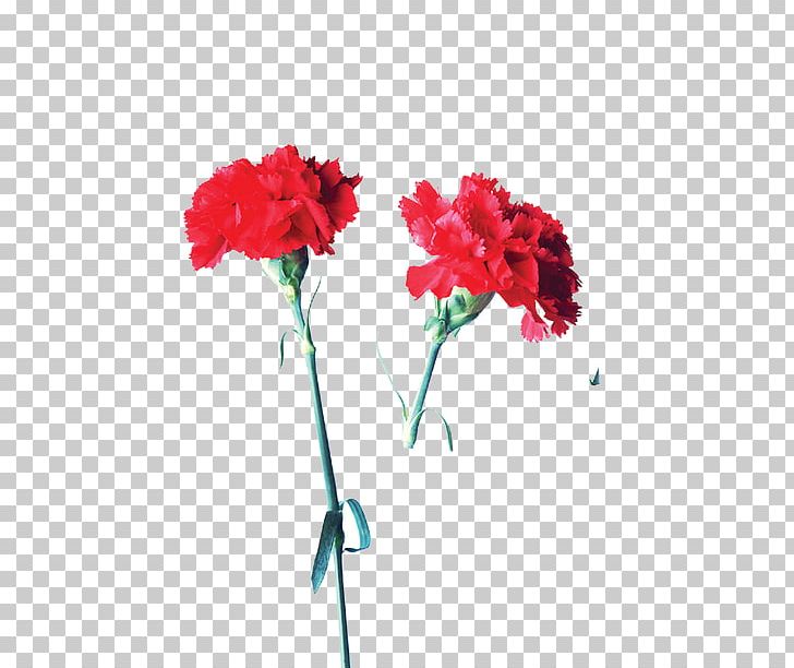 Carnation Garden Roses Flower Mother's Day PNG, Clipart, Artificial Flower, Carnation, Cut Flowers, Fantasy, Flora Free PNG Download