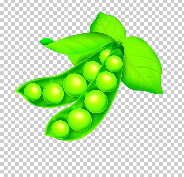 Common Bean Pea Lima Bean PNG, Clipart, Bean, Beans, Butterfly Pea, Butterfly Pea Flower, Cartoon Peas Free PNG Download