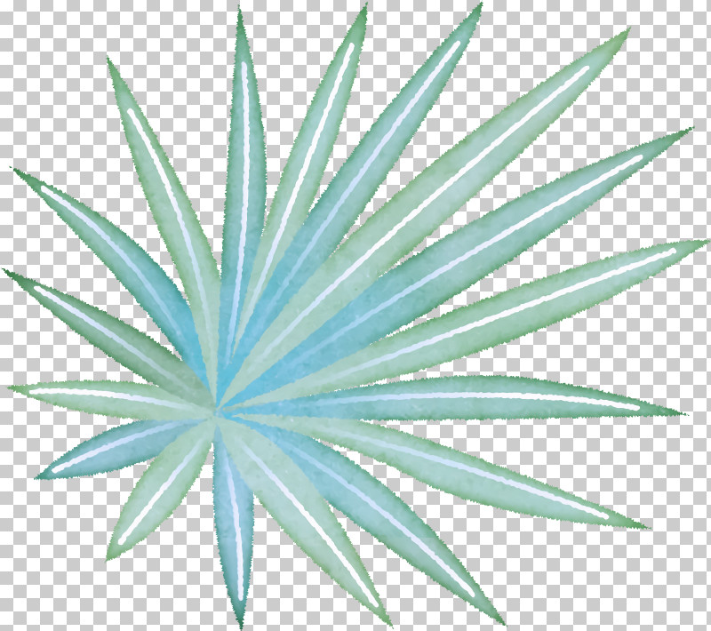 Palm Trees PNG, Clipart, Arbor Day, Branch, Coconut, Flower, Grasses Free PNG Download