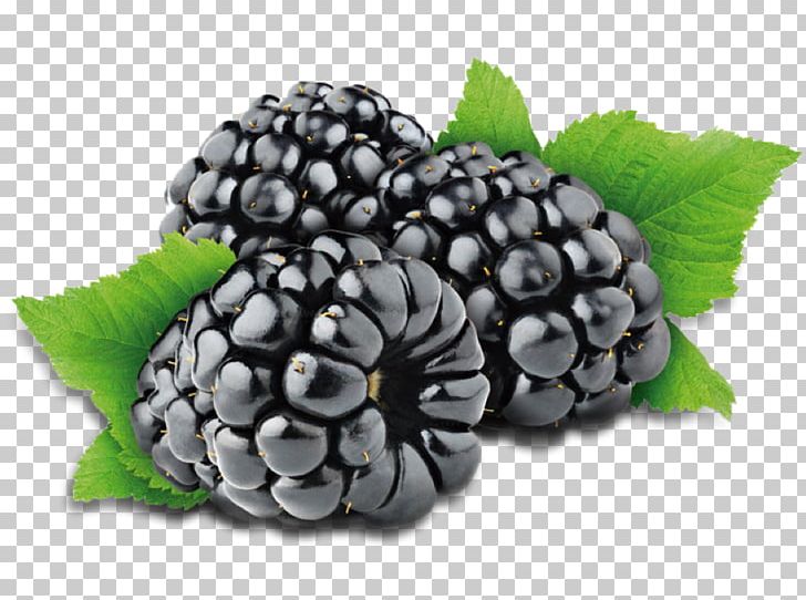 Juice Cobbler Blackberry Fruit PNG, Clipart, Bilberry, Blackberry, Blueberry, Boysenberry, Food Free PNG Download