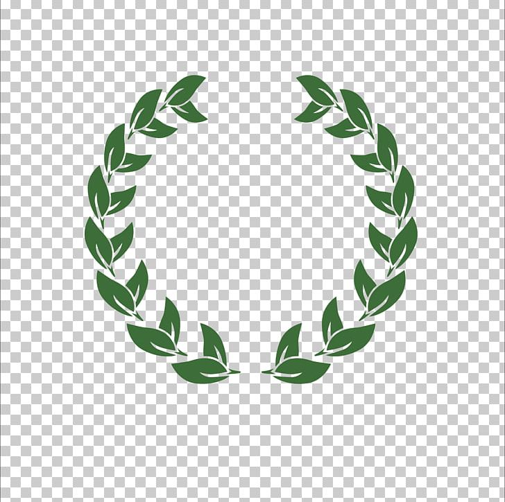 Laurel Wreath PNG, Clipart, Branch, Branches, Circle, Creative, Creative Olive Branch Free PNG Download