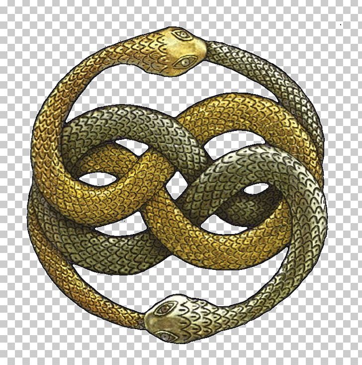 The NeverEnding Story Falkor Atreyu Auryn PNG, Clipart, Bangle, Boa Constrictor, Boas, Colubridae, Elapidae Free PNG Download