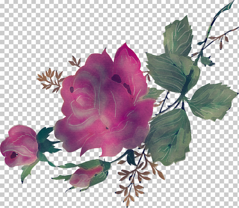 Floral Flowers PNG, Clipart, Cut Flowers, Floral, Flower, Flowers, Garden Roses Free PNG Download