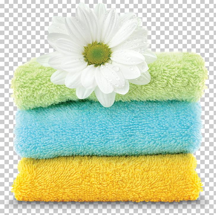 Crisp Linen Towel Wool Apple PNG, Clipart, Apple, Aroma Compound, Cinnamon, Crisp, Lemon Free PNG Download