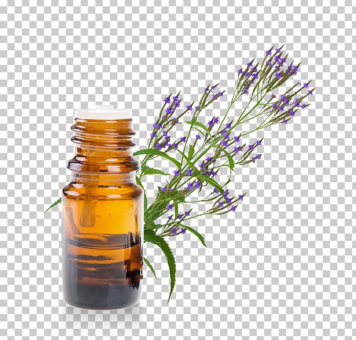 Essential Oil Herb Thymol Eucalyptus Oil PNG, Clipart, Ache, Bottle, Citron, Digestion, Essential Oil Free PNG Download