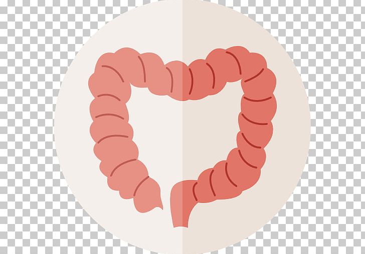 Large Intestine Gastrointestinal Tract Small Intestine Human Body Computer Icons PNG, Clipart, Anatomy, Body, Body Computer, Colorectal Cancer, Computer Icons Free PNG Download