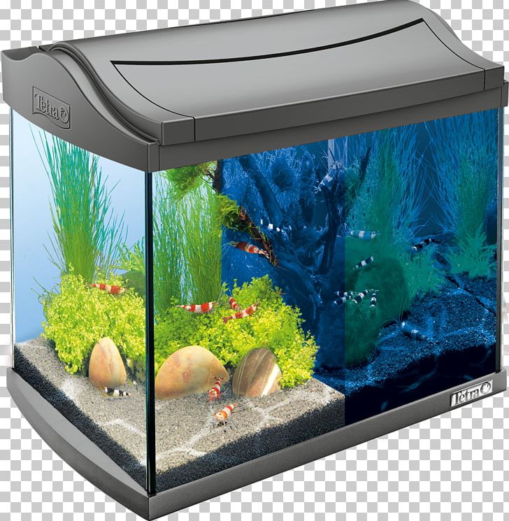 Tetra Nano Aquarium Light-emitting Diode Shrimp PNG, Clipart, Air Pump, Animals, Aquarium, Aquarium Decor, Aquarium Lighting Free PNG Download