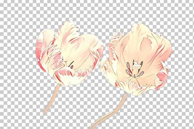Feather PNG, Clipart, Cut Flowers, Feather, Flower, Lily Family, Petal Free PNG Download
