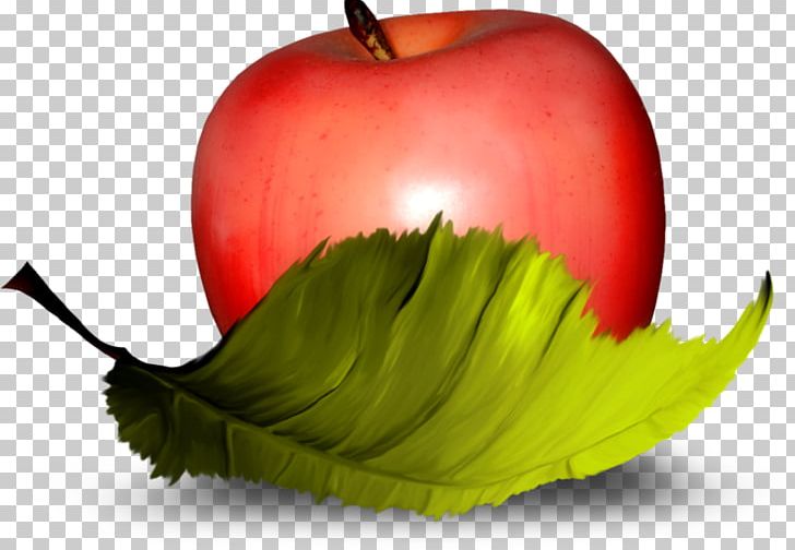 Apple Fruit Vegetable PNG, Clipart, Apple, Apple Fruit, Computer Wallpaper, Confectionery, Diet Food Free PNG Download