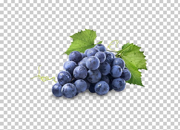 Concord Grape Common Grape Vine Isabella Stock Photography PNG, Clipart, Berry, Bilberry, Blueberry, Blueberry Tea, Concord Grape Free PNG Download