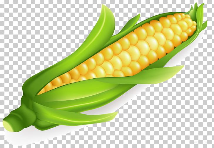 Corn On The Cob Maize Vegetable Sweet Corn Food PNG, Clipart, Commodity, Computer Icons, Corn On The Cob, Food, Food Drinks Free PNG Download