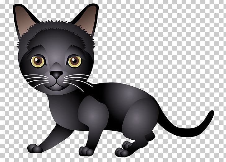 Kitten Bombay Cat Korat Black Cat American Wirehair PNG, Clipart, American Wirehair, Animals, Asian, Black, Black Cat Free PNG Download