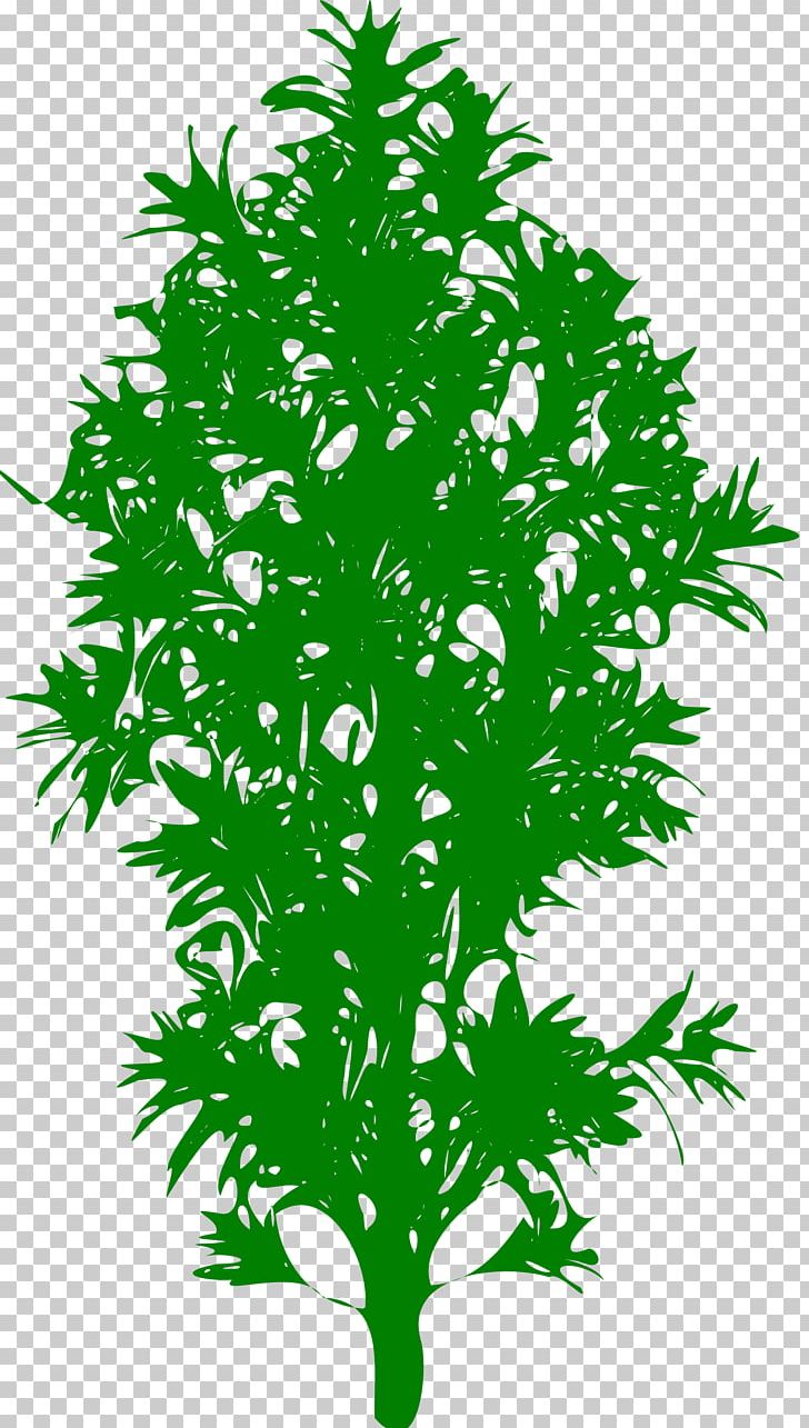 Leaf Plant Stem Line Branching PNG, Clipart, 300 Dpi, Arts, Branch, Branching, Flora Free PNG Download