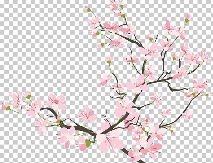 Cherry Blossom Drawing PNG, Clipart, Art, Blossom, Branch, Cherry, Cherry Blossom Free PNG Download