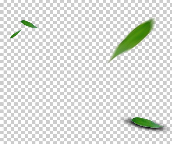 Green Leaf Pattern PNG, Clipart, Angle, Bamboo, Bamboo Leaves, Bamboo Vector, Decoration Free PNG Download